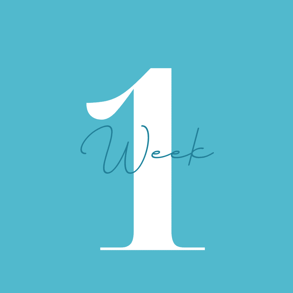Week One Week Two Product: Sweaty Sexy Strong in 30 | The Wellness Adventurer